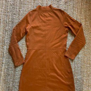 Everlane The Cotton Mockneck Dress